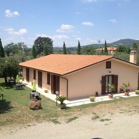 Agriturismo La Piantata ボルセーナ エクステリア 写真