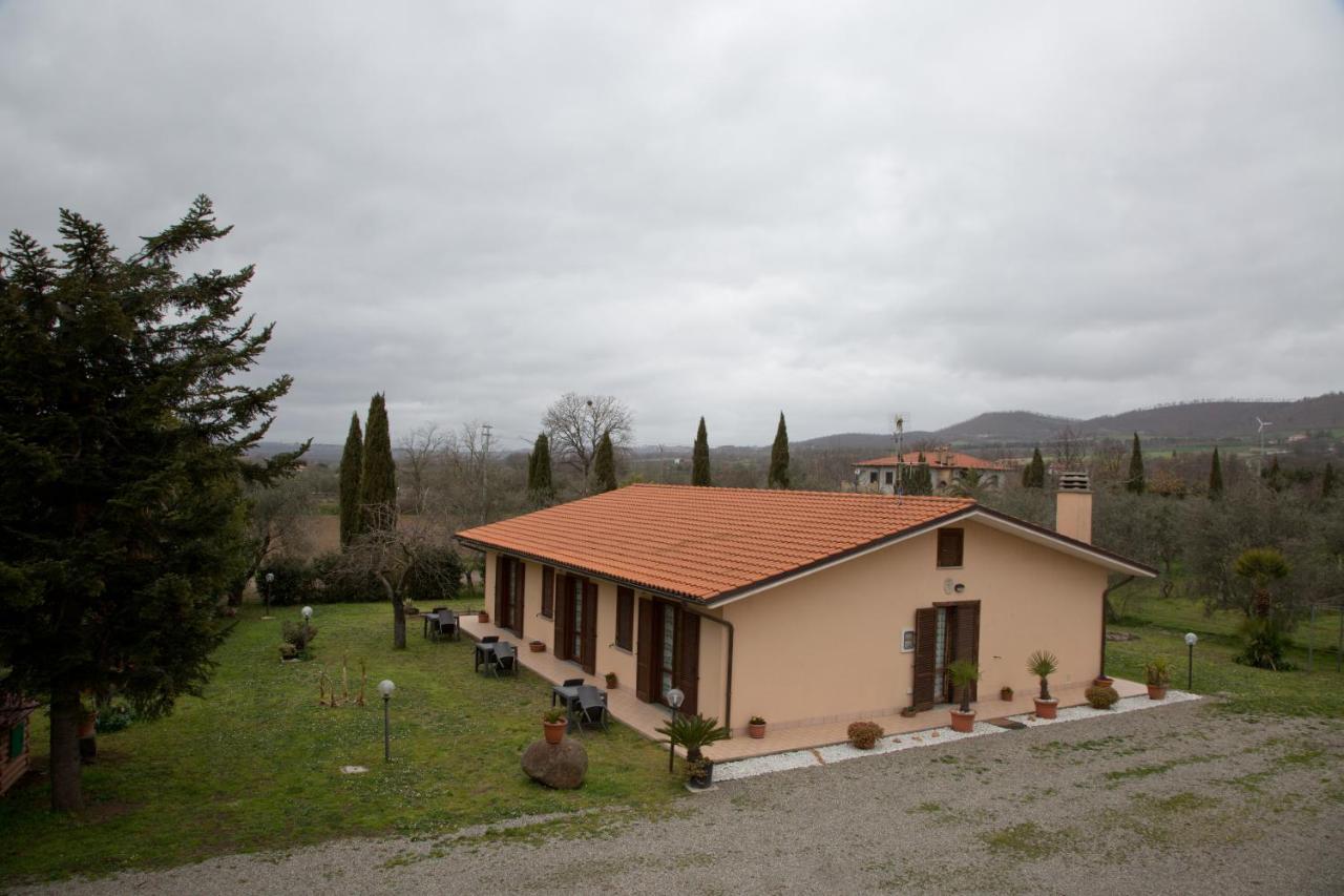 Agriturismo La Piantata ボルセーナ エクステリア 写真